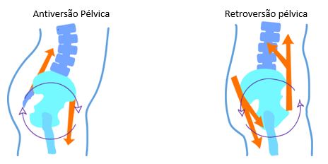 Movimentos do quadril e biomecânica da pelve