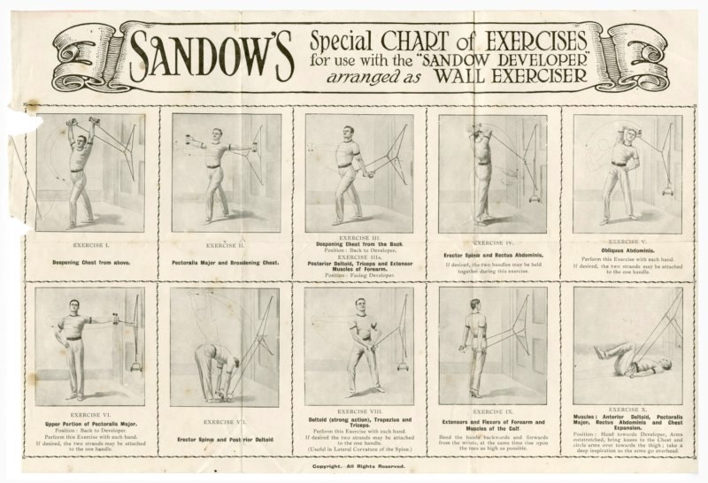 Guia de exercicios de Sandow